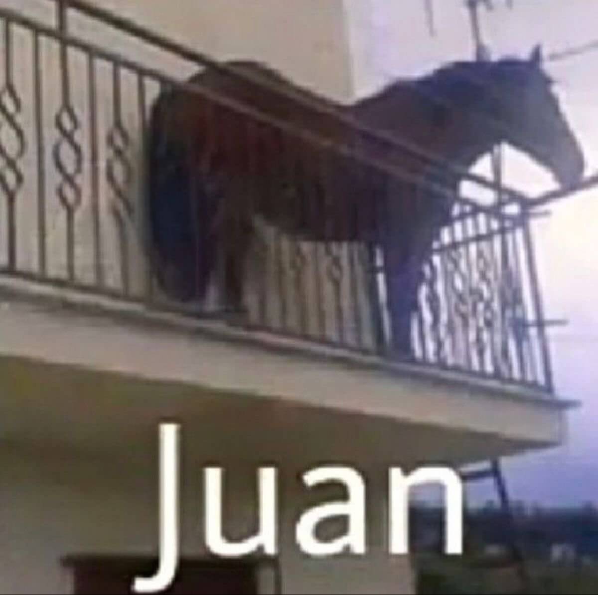 Juan